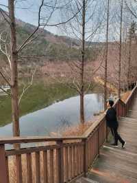 겨울에도 여전히 분위기 있는 용소웰빙공원🌳