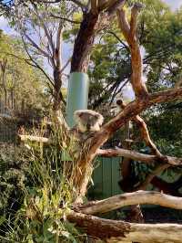 Get up close and personal with wildlife here!
