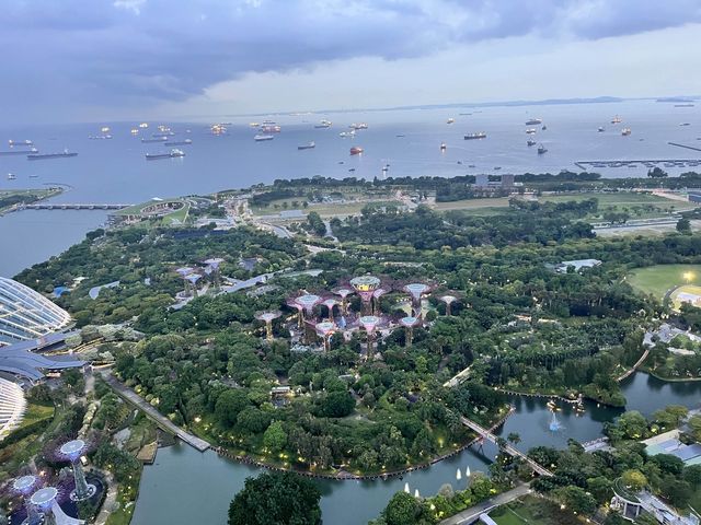 ชมวิวเกาะสิงคโปร์บน SkyPark Observation Deck