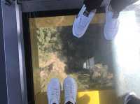 悉尼近郊旅遊景點 ☀️ 藍山國家公園Blue Mountains ☀️