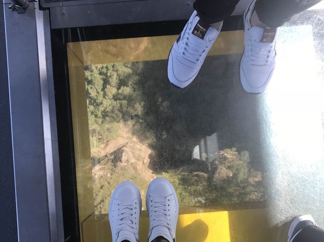 悉尼近郊旅遊景點 ☀️ 藍山國家公園Blue Mountains ☀️