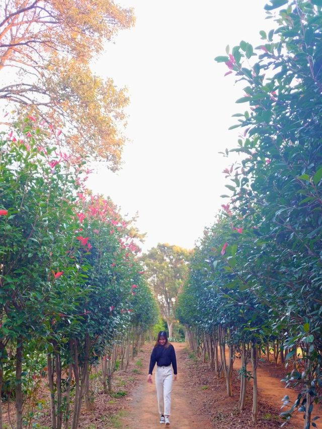 사계절마다 색다른 느낌을 주는 ‘청산수목원’을 소개합니다☺️