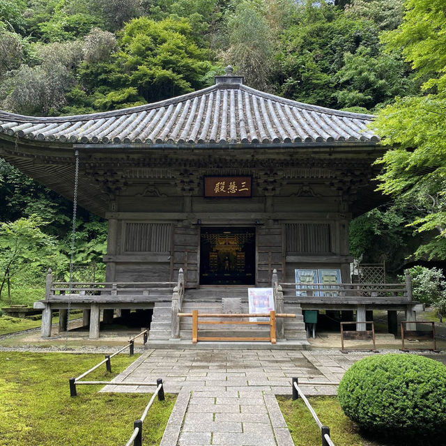 宮城松島「円通院」日本庭園が美しい