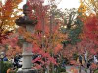 เที่ยวใบไม้เปลี่ยนสี เกียวโต วัดเอกันโดเซ็นริน ⛩️🍁