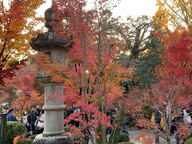 เที่ยวใบไม้เปลี่ยนสี เกียวโต วัดเอกันโดเซ็นริน ⛩️🍁