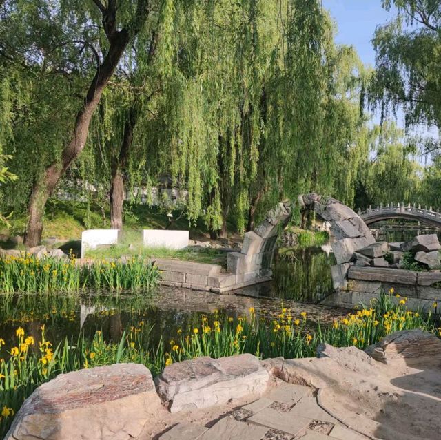 逛逛圓明園 🤠🤩🤩