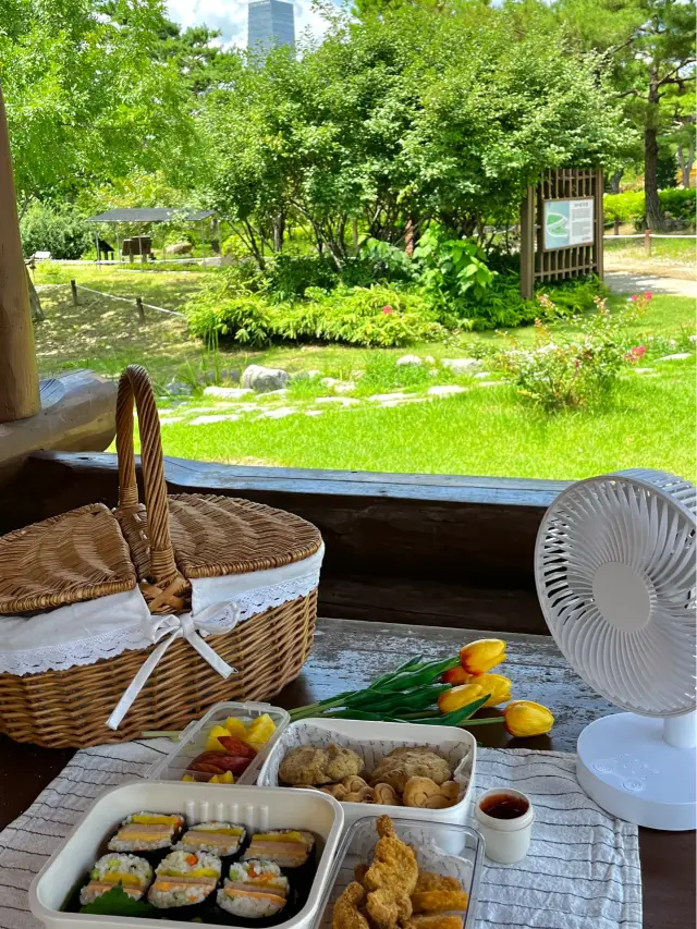 대전, 피크닉하기 좋은 곳 ! 예쁜 식물들이 많은 한밭 수목원🌿