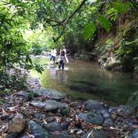 Si Phang Nga 國家公園生態遊記