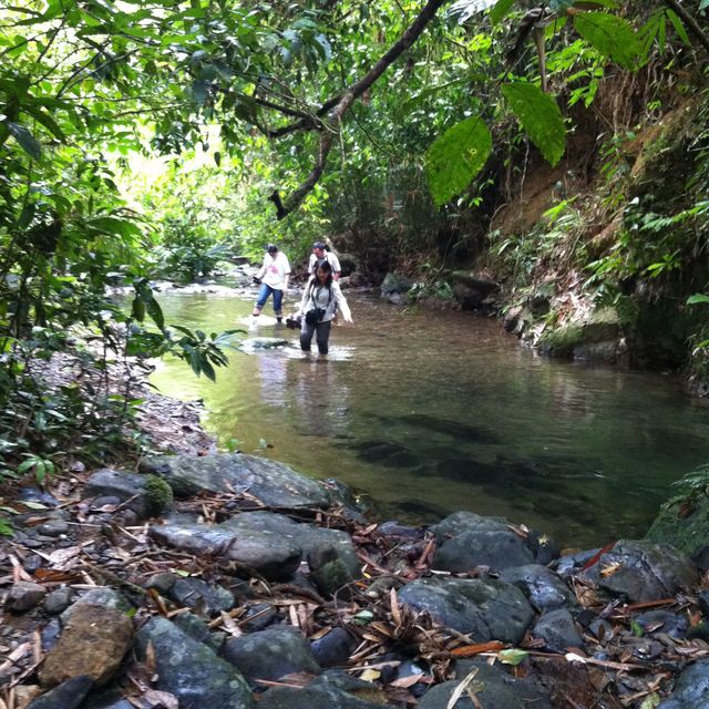Si Phang Nga 國家公園生態遊記