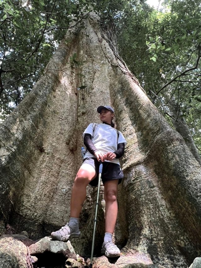 เดินป่า one day trip น้ำตกโกรกอีดก