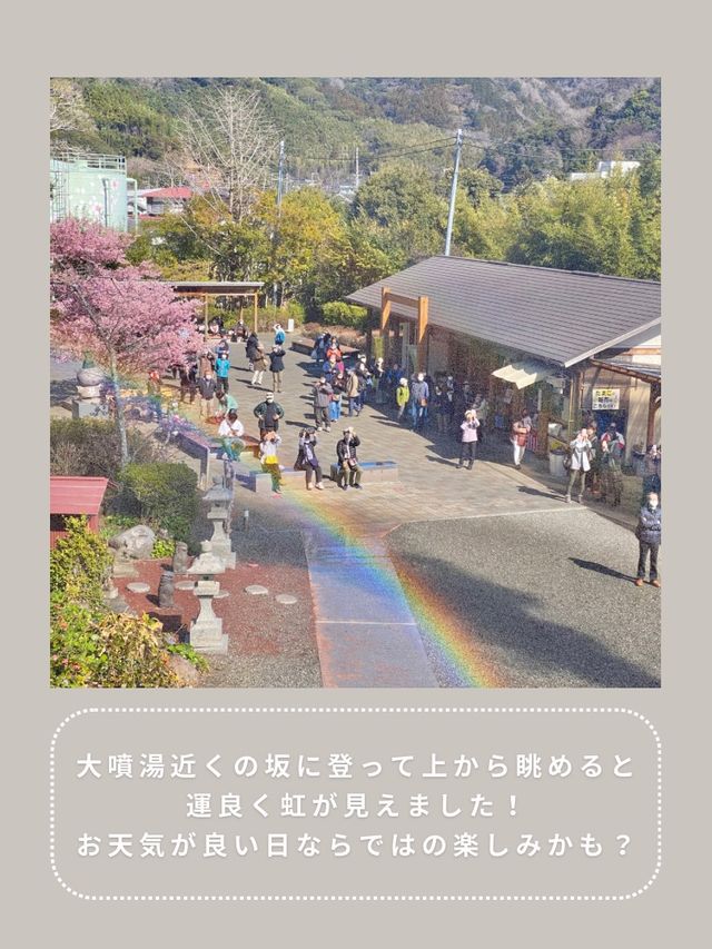 【静岡】わんこと行ける温泉公園♨️