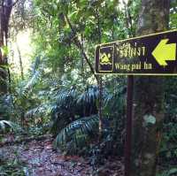 Khao Sok National park 自然生態遊記