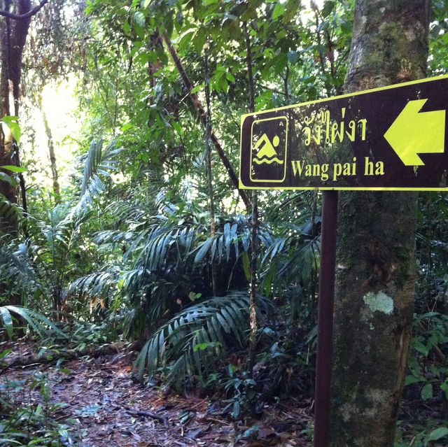 Khao Sok National park 自然生態遊記