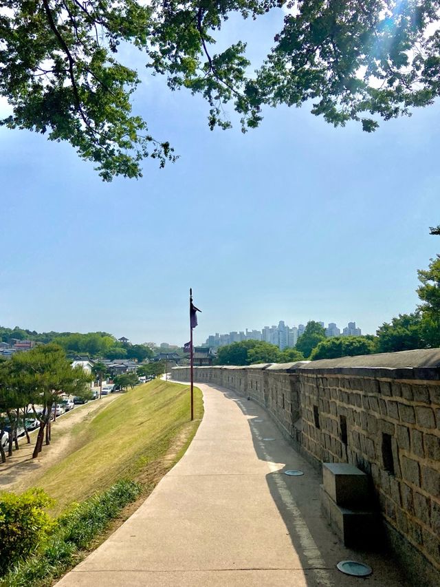 수원 데이트코스 나무와 돌담길🌳🪨 장안문! 🥰