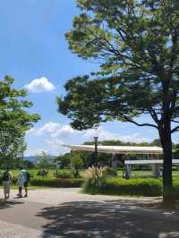 【京都】梅小路公園とすざくゆめ広場