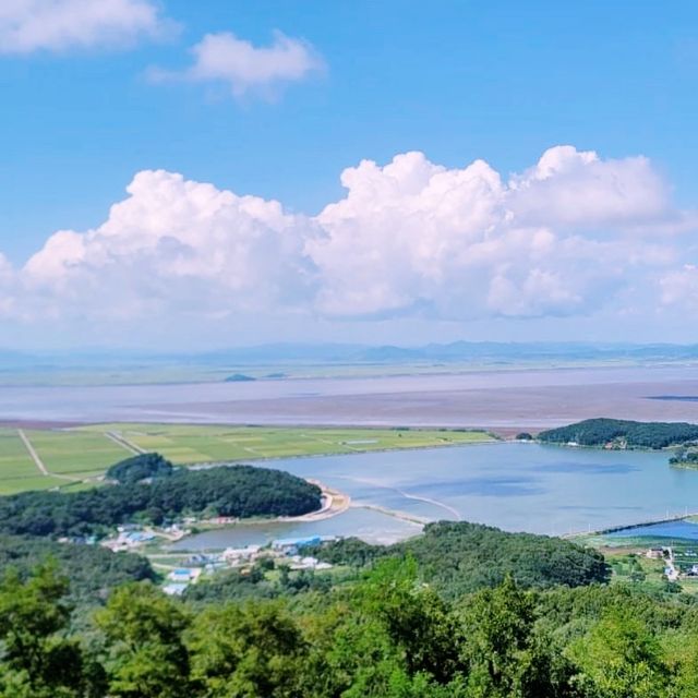 🚡 케이블모노레일을 타고 산수강산 절경을 감상할 수 있는 화개산!