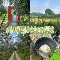 橡膠園林初體驗 