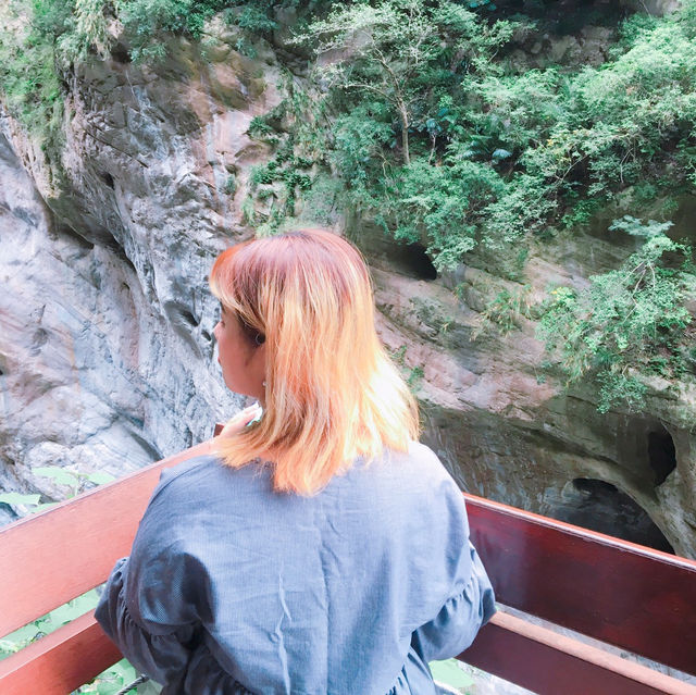 트레킹을 좋아한다면 대만 사카당 트레일 🚶‍♀️🚶