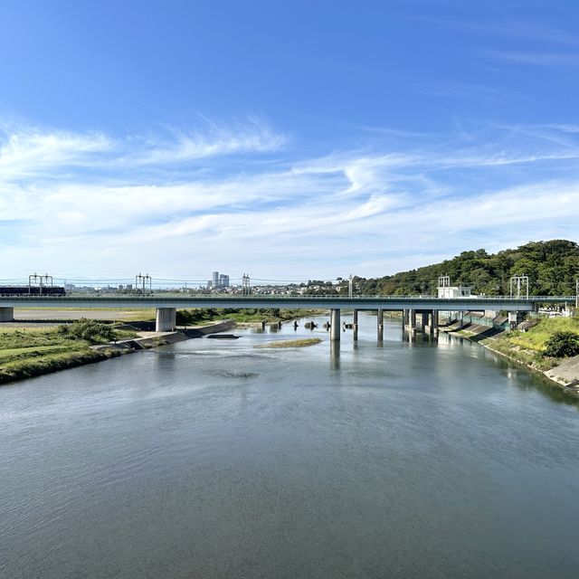 📍多摩川/東京