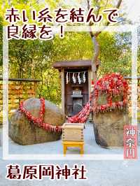 【神奈川県/葛原岡神社】赤い糸を結んで良縁を！