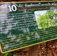 ผาช่อ ประติมากรรมธรรมชาติกลางป่า 