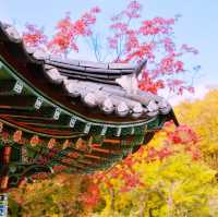 Discover amazing Autumn@ Korean Folk Village