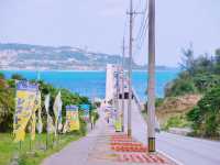 Discover a most beautiful Kouri Bridge 