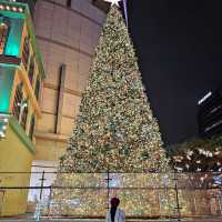 크리스마스 데이트 코스! 이대로만 가세요!🎄🎅🏻
