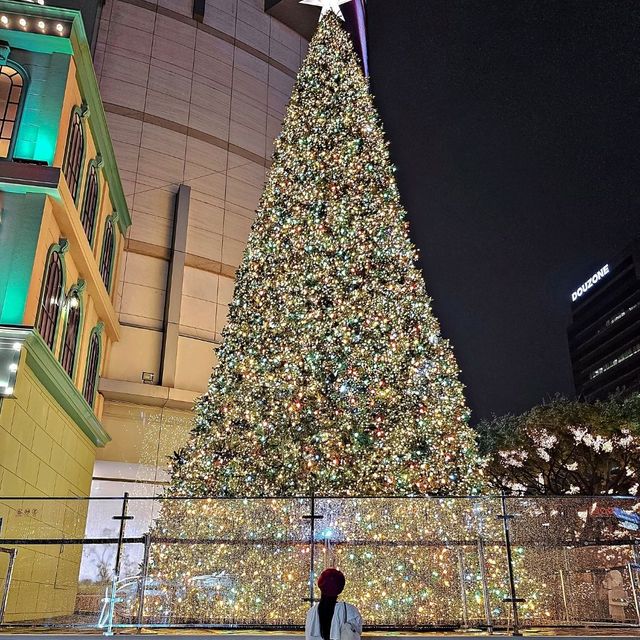 크리스마스 데이트 코스! 이대로만 가세요!🎄🎅🏻