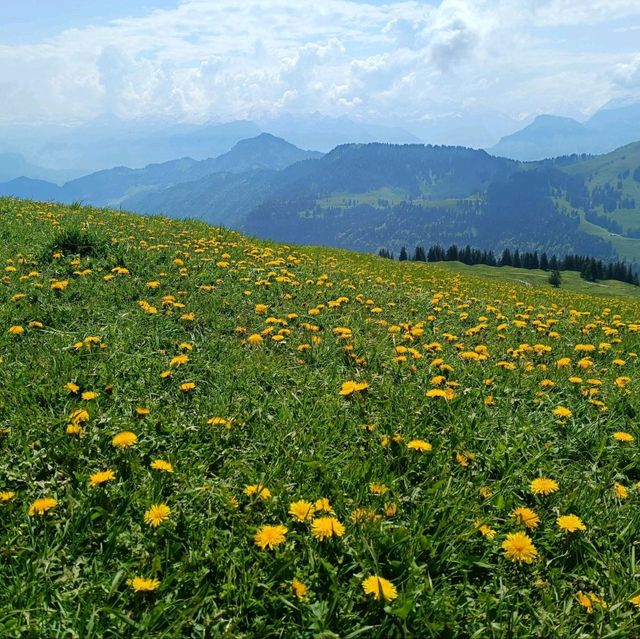 Rigi - Queen of the Mountains