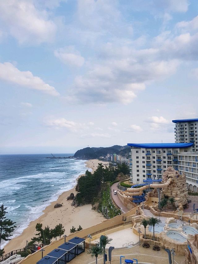 삼척해변 오션뷰가 한눈에🌊쏠비치삼척 마마티라☕️