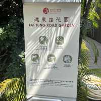 香港小日本🇯🇵櫻花園