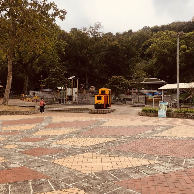 Giant Pandas At Macau's Seac Pai Van Park