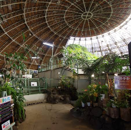 草津温泉にある熱帯園