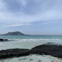 투명한 제주 협재해수욕장🌊✨