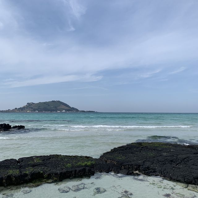 투명한 제주 협재해수욕장🌊✨