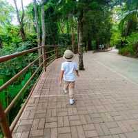 Cebu Safari and Adventure Park🏞️