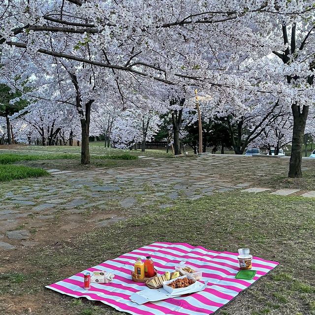 [인천 호구포] 한적하고 여유로운 인천 피크닉 장소를 찾으시나요?