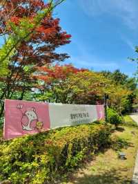 라한셀렉트경주 호수뷰 디럭스트윈, 보문호 뷰맛집🏞