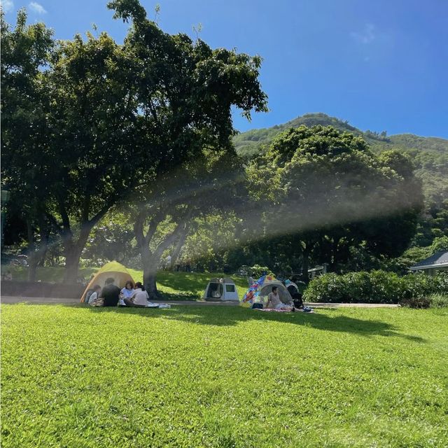 香港最舒服的公園 - 迪欣湖