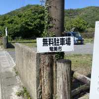 奄美大島「崎原ビーチ」美しすぎて感動した