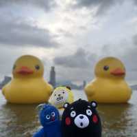 四遇鴨鴨Rubber Duck🤣