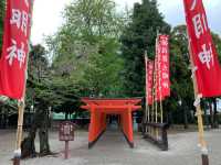 熊本　熊本観光　熊本の癒しスポット水前寺成趣園に行ってきた！