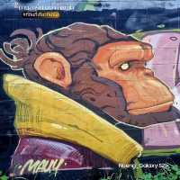 Street Art บนกำแพง - เชียงใหม่