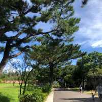 大㓓森林公園
