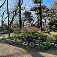【神奈川】横浜🌼港の見える丘公園