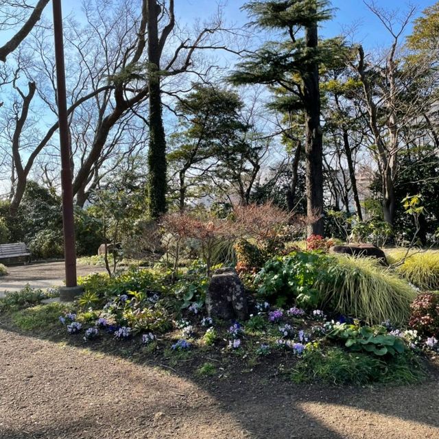 【神奈川】横浜🌼港の見える丘公園