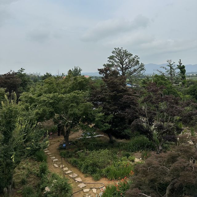 영암의 초록뷰를 볼 수 있는 힐링 카페 “새실오브앰비언스“