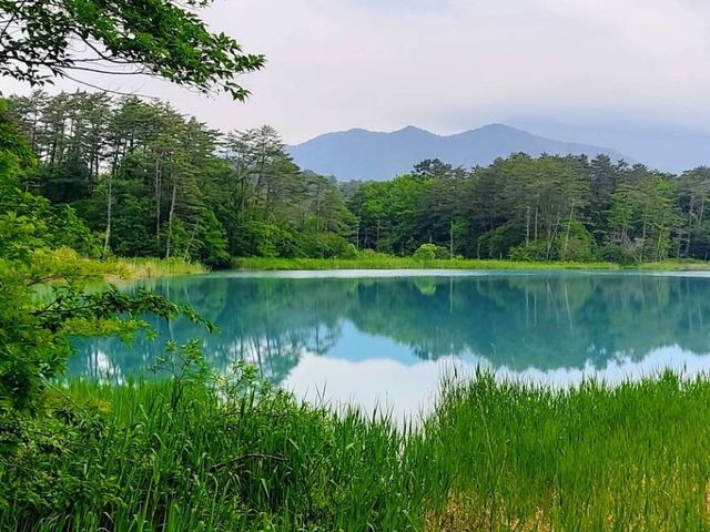 Goshiki-numa pond 🇯🇵💦🦋