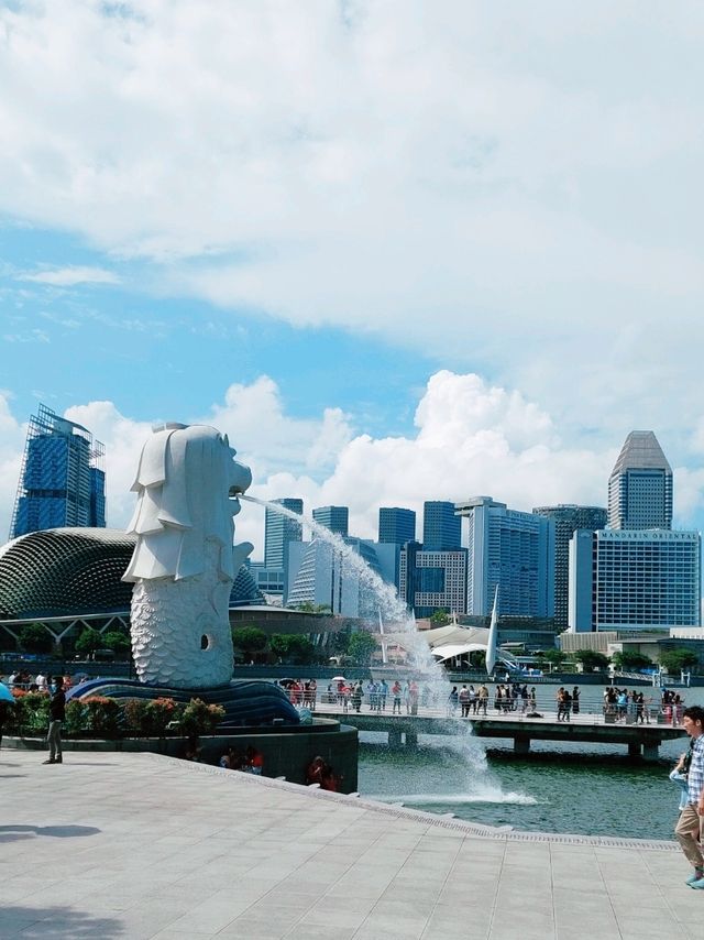 Picturesque Walk in the Red Dot City
